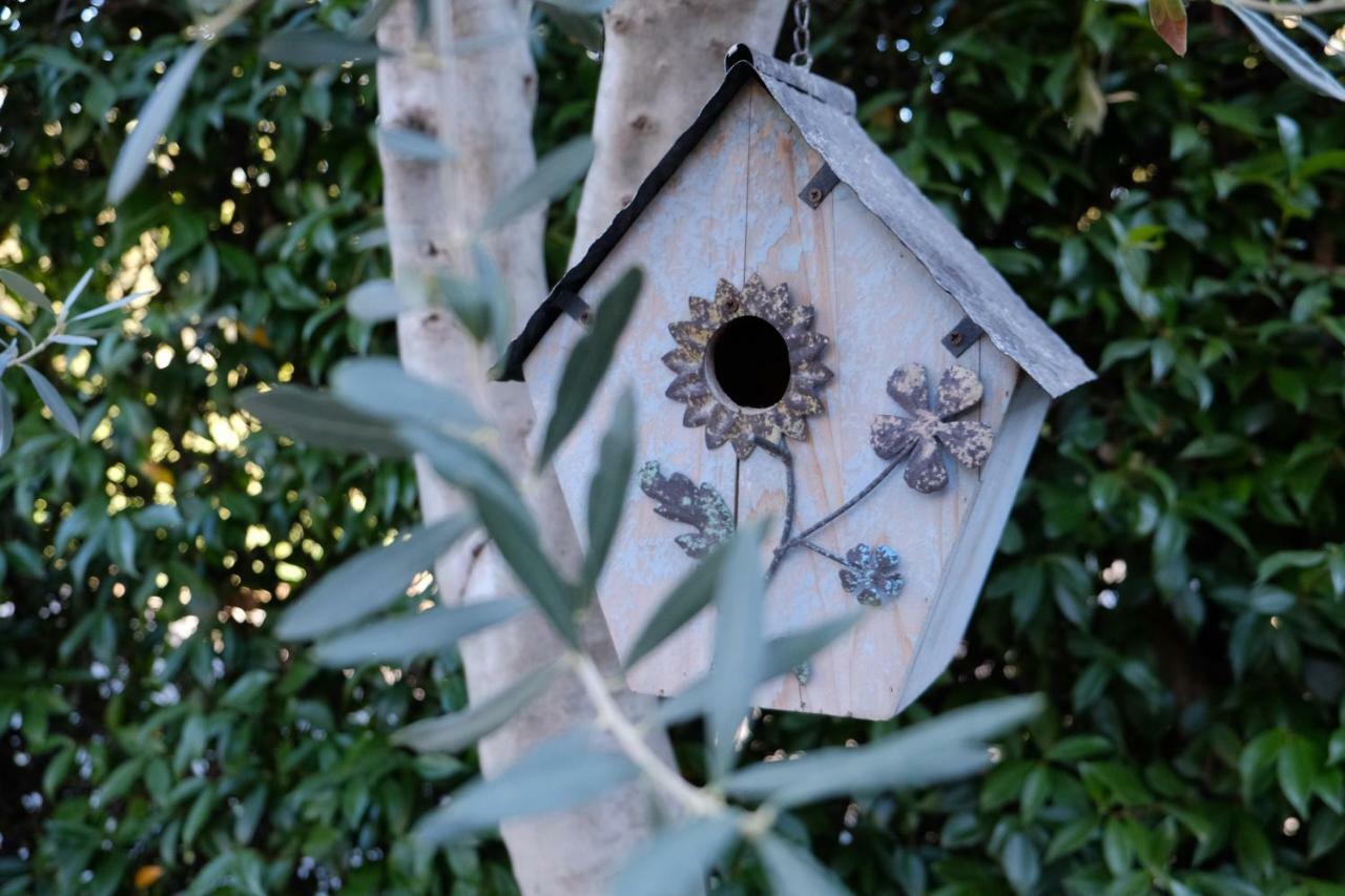 B&B Fontanelle Romane Dış mekan fotoğraf